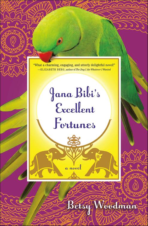 Jana Bibi&#x27;s Excellent Fortunes, Jana Bibi Adventures