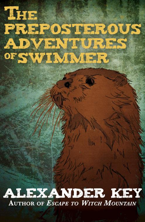 Preposterous Adventures of Swimmer