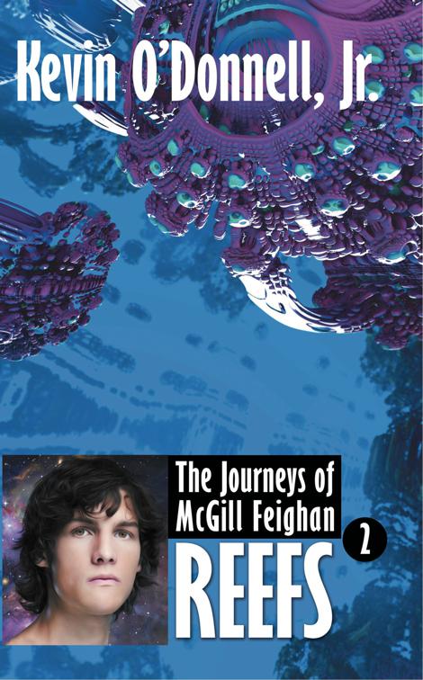 Reefs, The Journeys of McGill Feighan