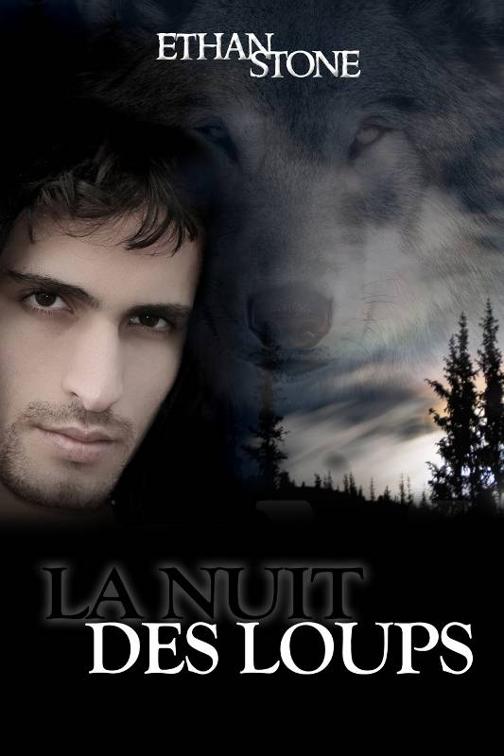 La nuit des loups