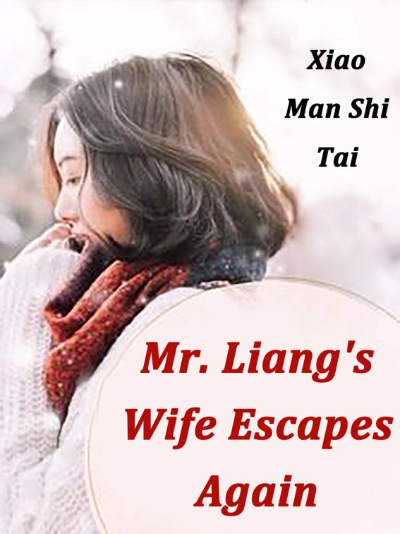 This image is the cover for the book Mr. Liang's Wife Escapes Again, Volume 3