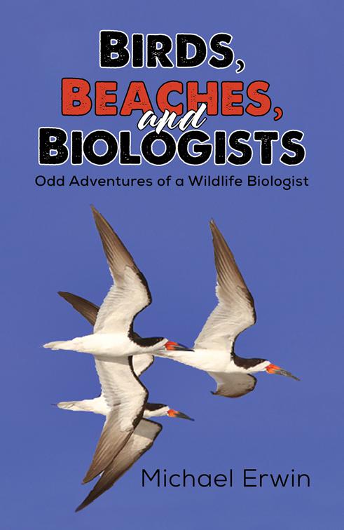 Birds, Beaches, and Biologists