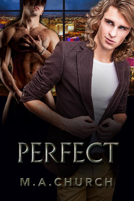 This image is the cover for the book Perfect, The Gods Series