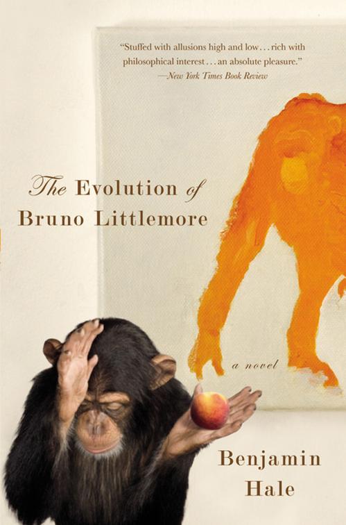 Evolution of Bruno Littlemore