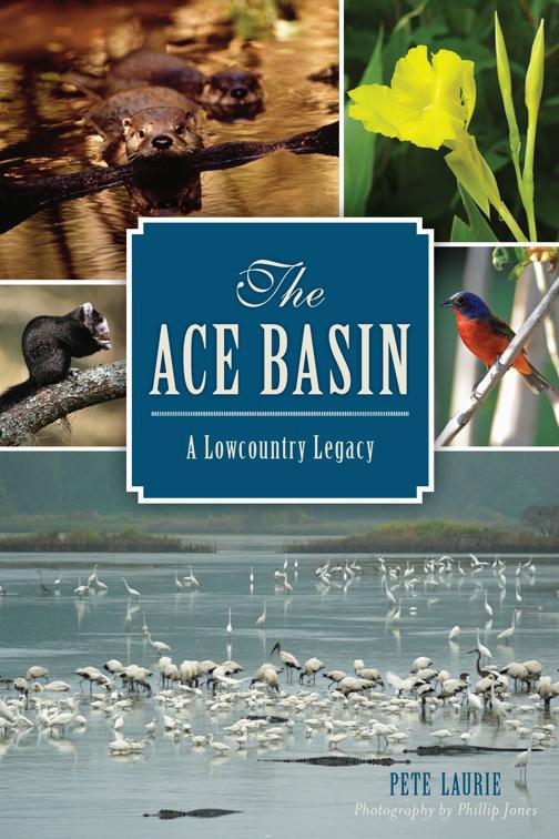 The ACE Basin: A Lowcountry Legacy, Natural History