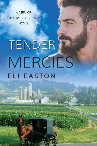 This image is the cover for the book Tender Mercies, Men of Lancaster County