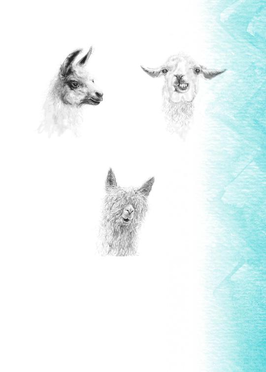 ¿Cómo Te Llamas?