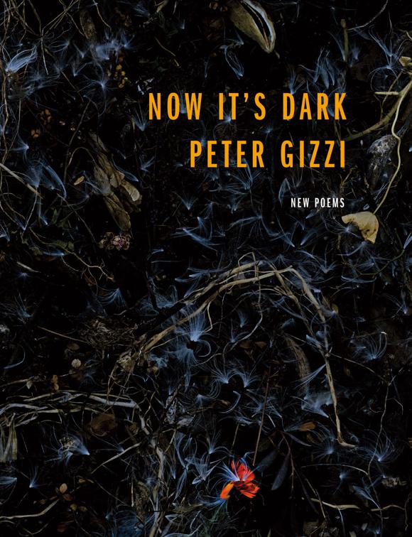 Now It&#x27;s Dark, Wesleyan Poetry Series