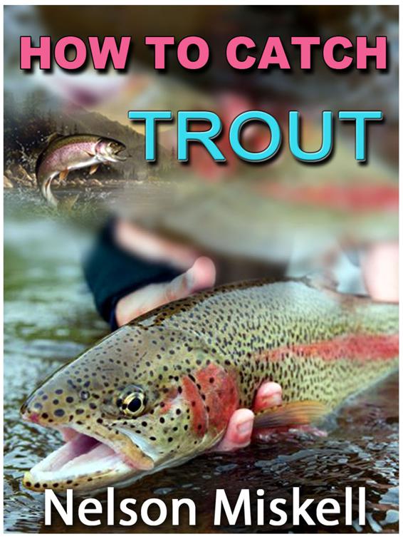 How To Catch Trout, Correct Times