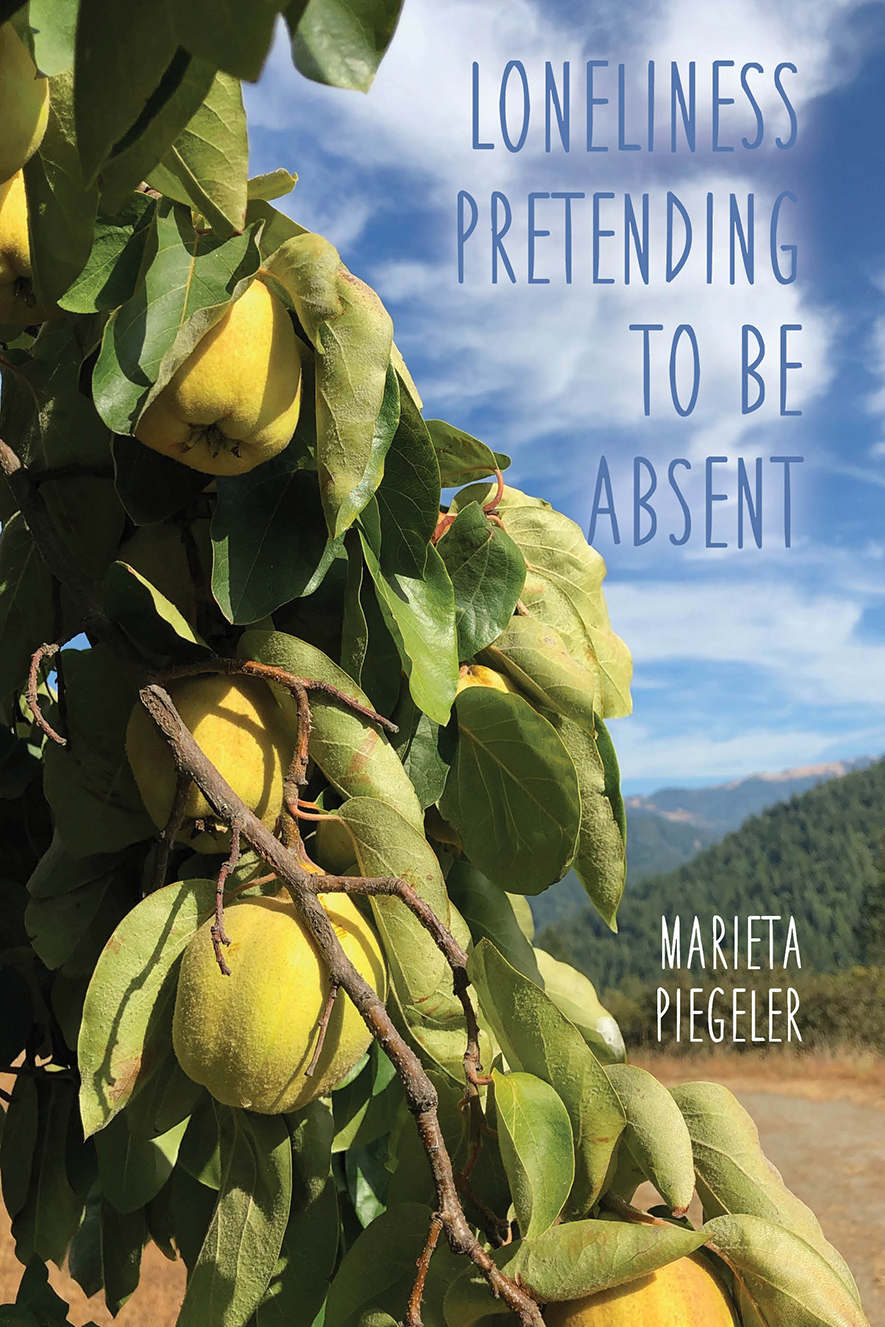 This image is the cover for the book Loneliness Pretending to be Absent