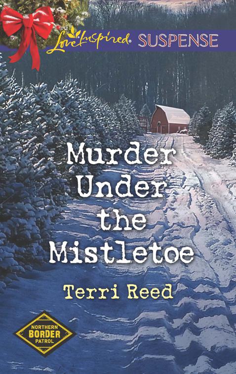 Murder Under the Mistletoe, Northern Border Patrol