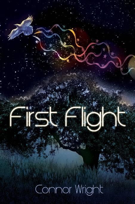 This image is the cover for the book First Flight