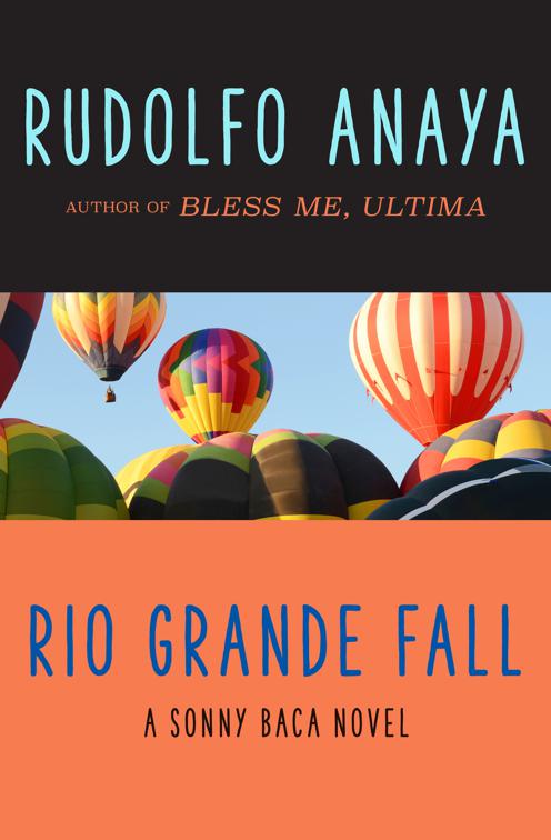 Rio Grande Fall, The Sonny Baca Novels