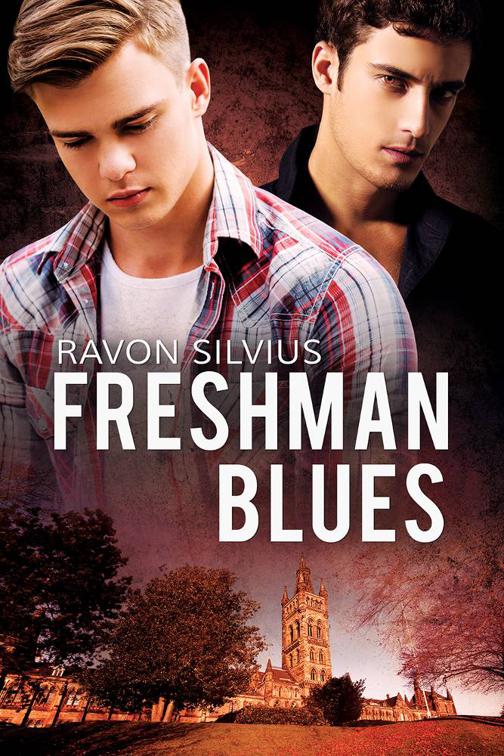 This image is the cover for the book Freshman Blues
