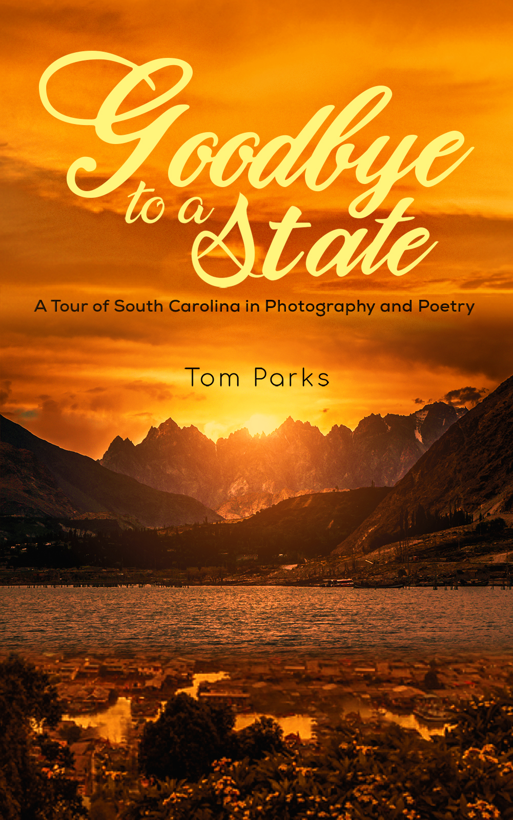 This image is the cover for the book Goodbye to a State