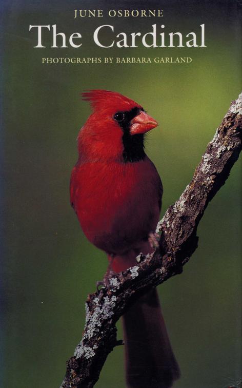 Cardinal, Corrie Herring Hooks Series