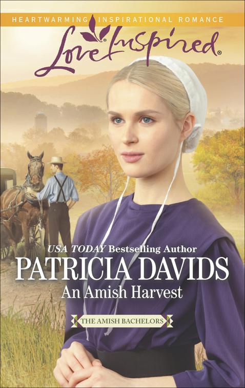 Amish Harvest, The Amish Bachelors