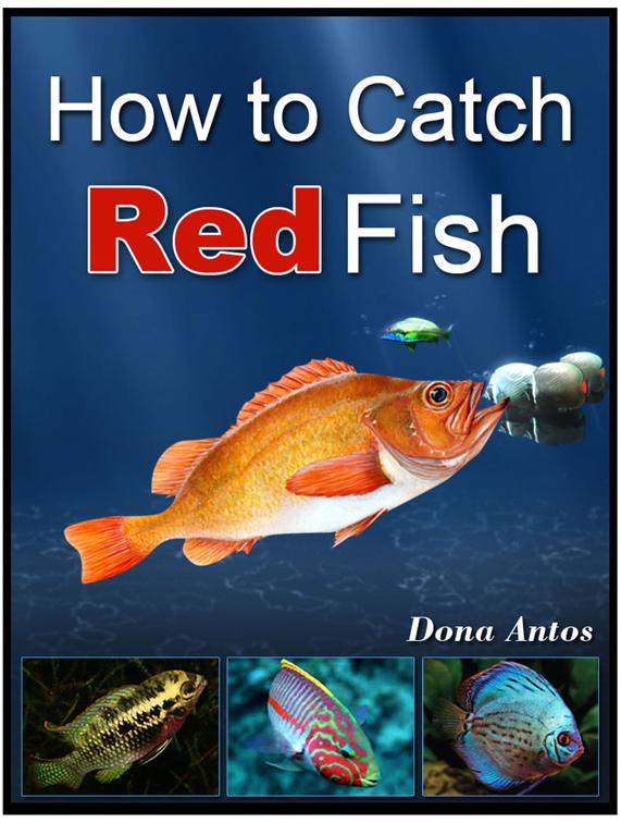 How To Catch Redfish, Correct Times
