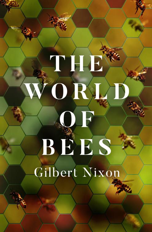 World of Bees