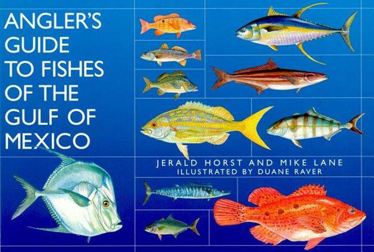 Angler&#x27;s Guide to Fishes of the Gulf of Mexico