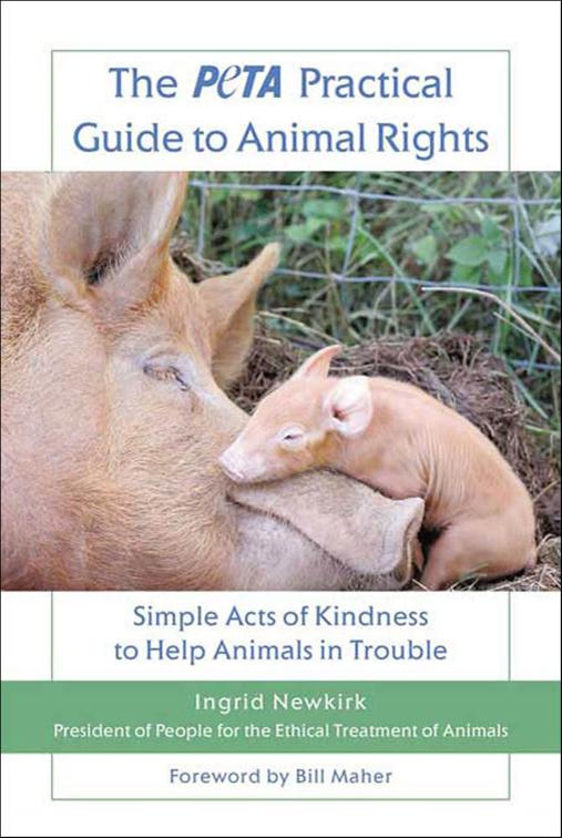 PETA Practical Guide to Animal Rights