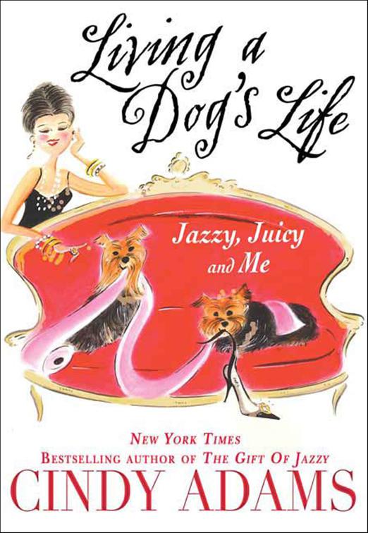 Living a Dog&#x27;s Life