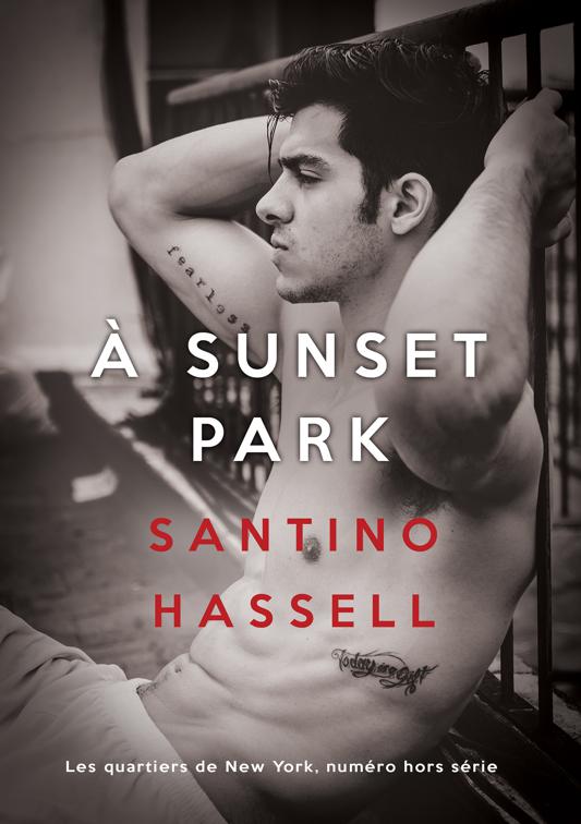 À Sunset Park, Les quartiers de New York