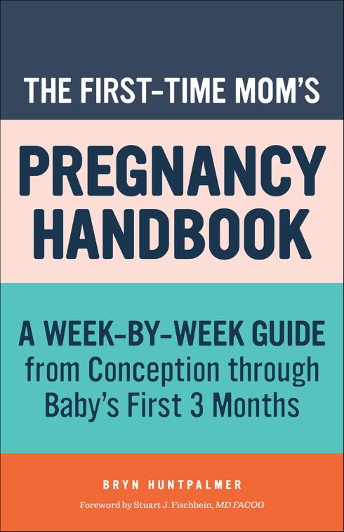 First-Time Mom&#x27;s Pregnancy Handbook