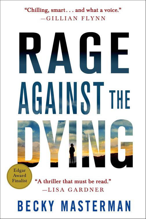 Rage Against the Dying, Brigid Quinn Series