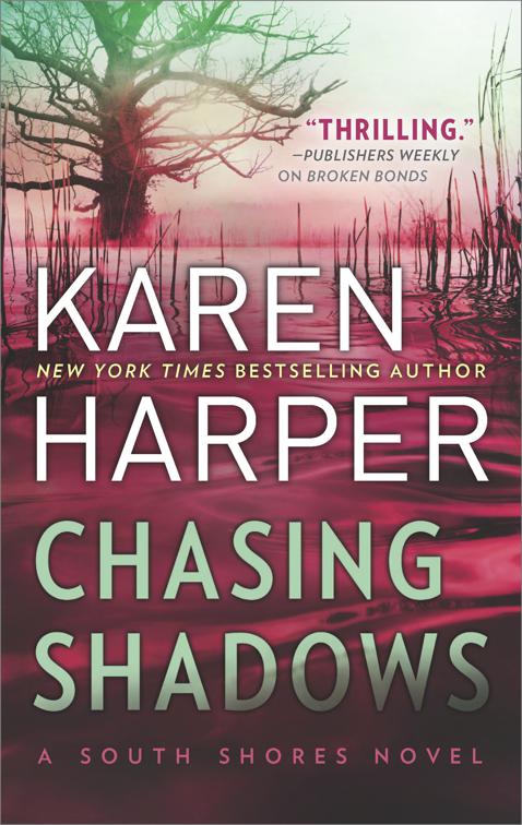 Chasing Shadows, The South Shores Novels