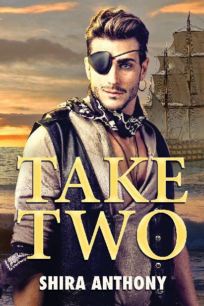 This image is the cover for the book Take Two