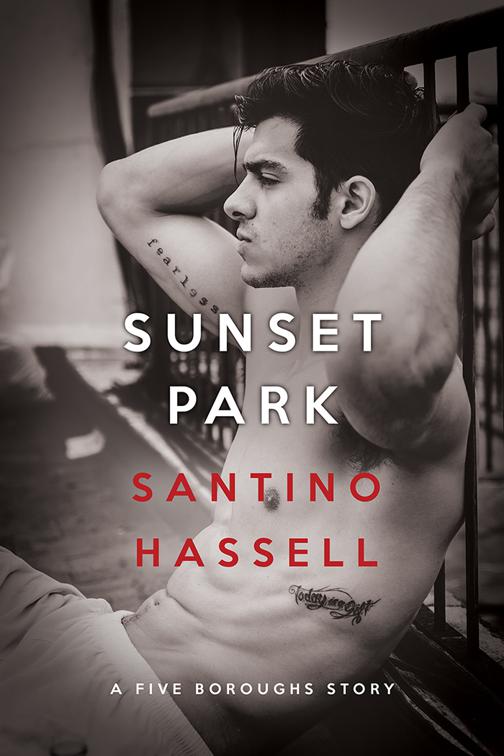 This image is the cover for the book Sunset Park, Five Boroughs