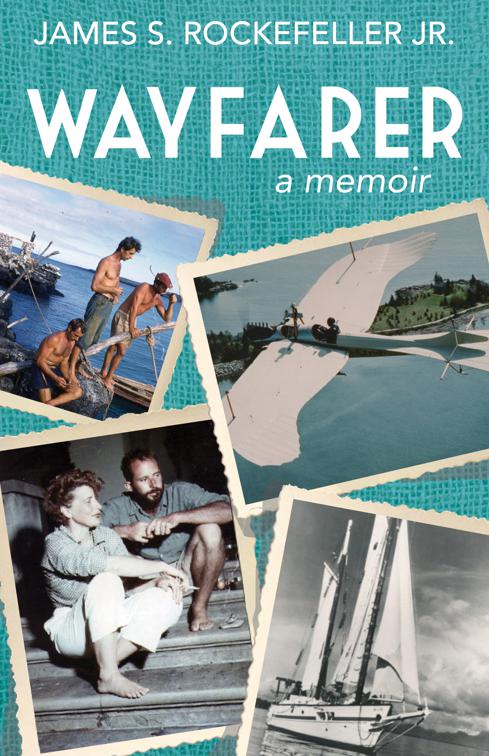This image is the cover for the book Wayfarer