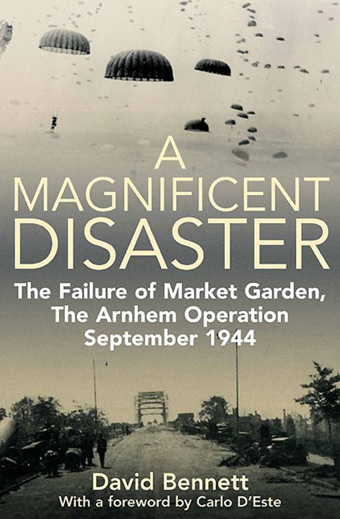 Magnificent Disaster