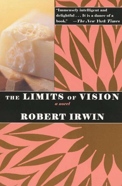Limits of Vision