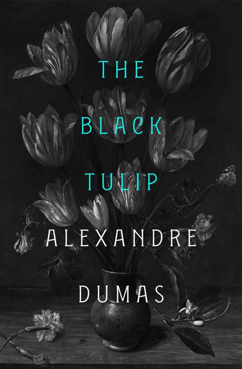 Black Tulip