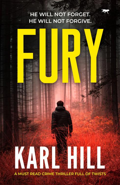 Fury, The Adam Black Thrillers