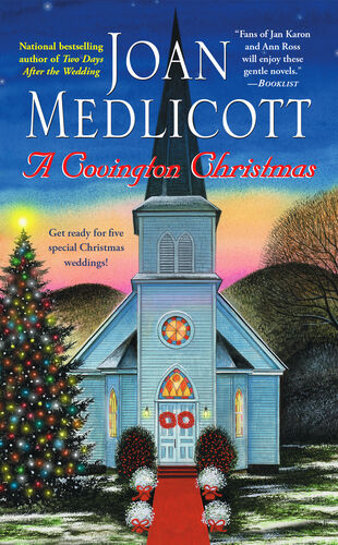This image is the cover for the book Blue and Gray Christmas