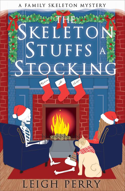 Skeleton Stuffs a Stocking, The Family Skeleton Mysteries