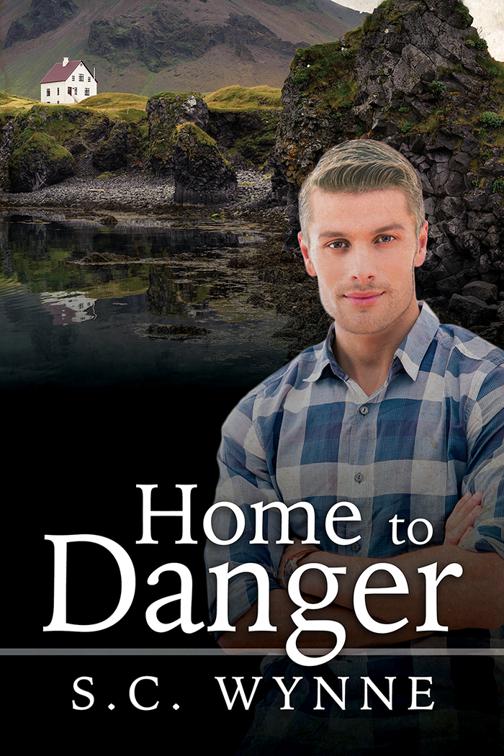 This image is the cover for the book Home to Danger
