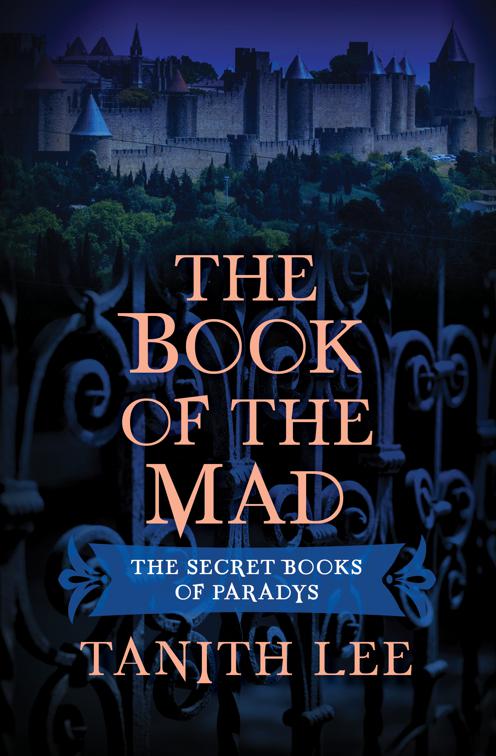 This image is the cover for the book Book of the Mad, The Secret Books of Paradys