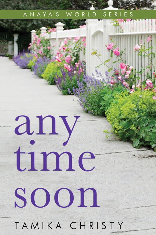 Any Time Soon, Anaya&#x27;s World