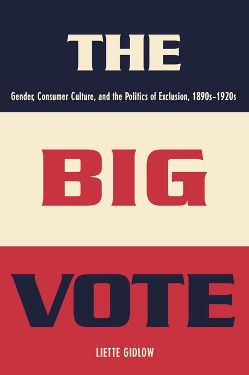 Big Vote, Reconfiguring American Political History