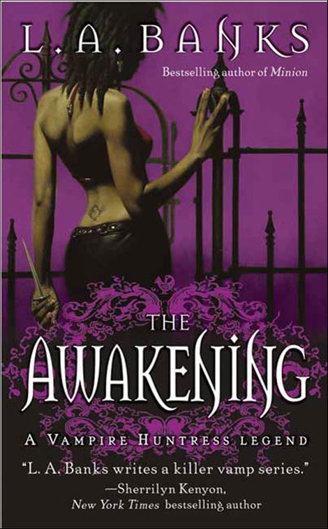 Awakening, Vampire Huntress Legend Series