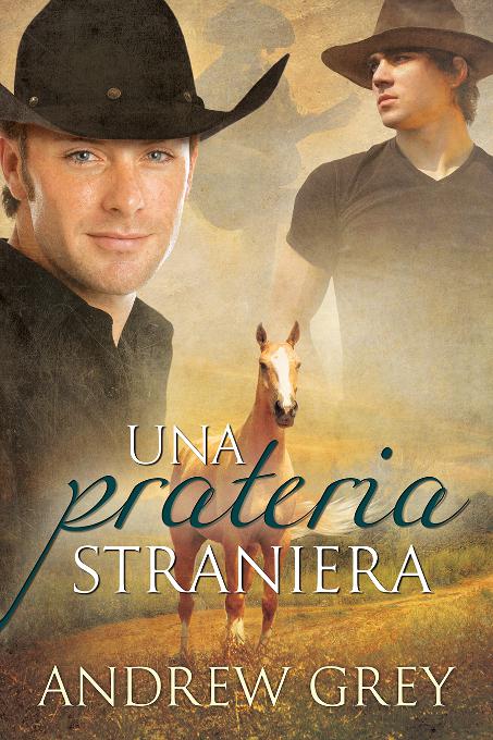 This image is the cover for the book Una prateria straniera, Storie della prateria