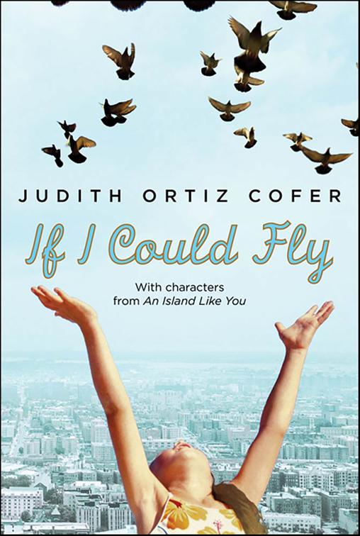 If I Could Fly