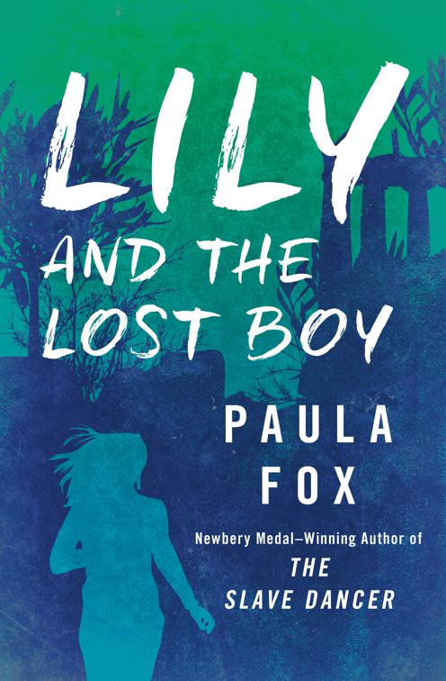 This image is the cover for the book Lily and the Lost Boy