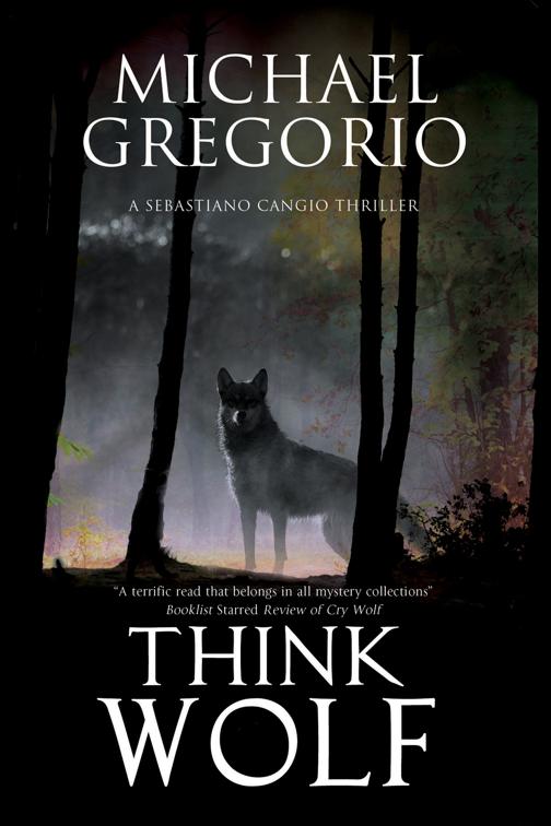 Think Wolf, The Sebastiano Cangio Thrillers