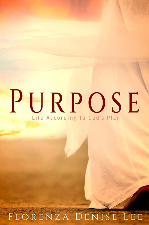 Purpose, Merry Hearts Inspirational Series