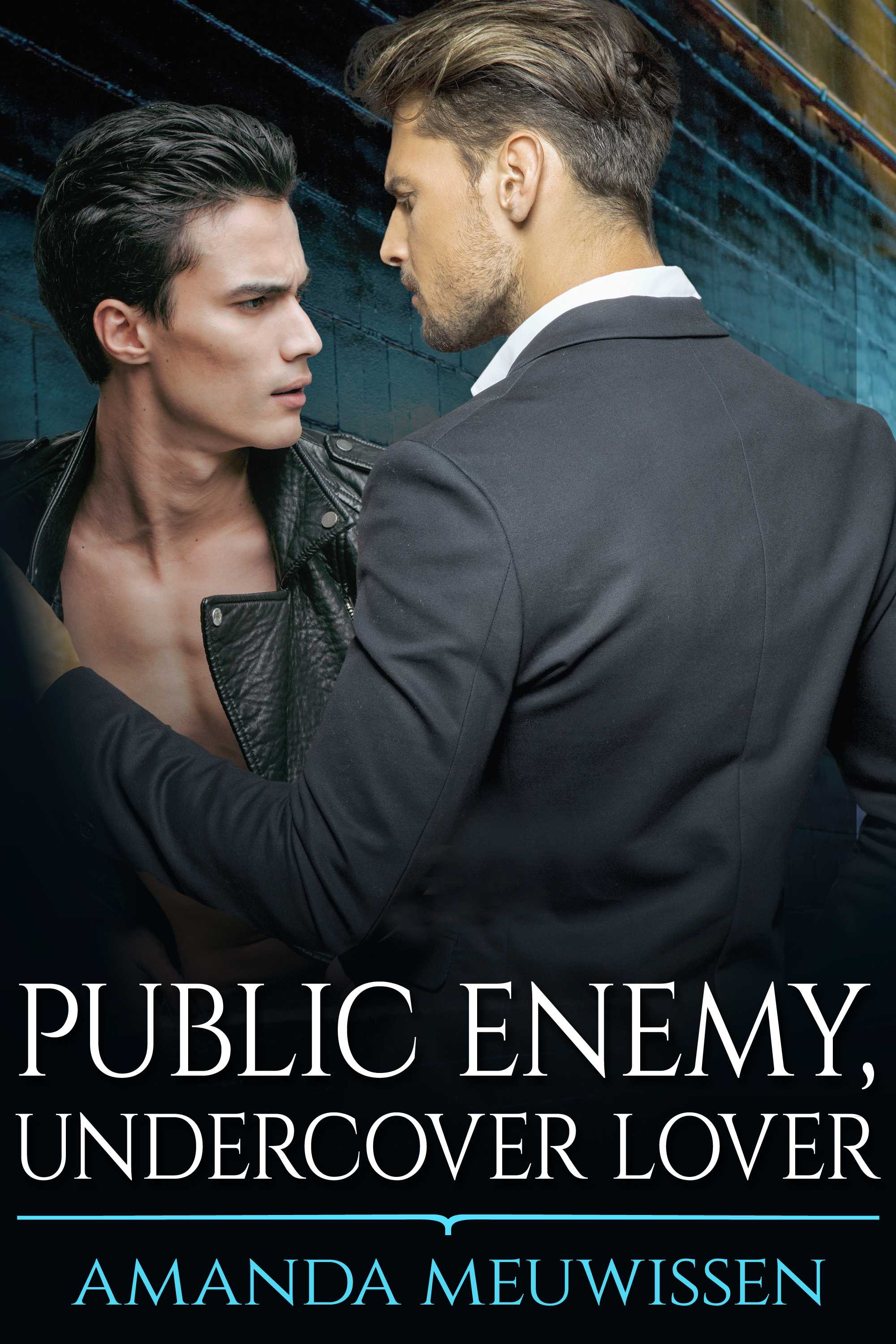 This image is the cover for the book Public Enemy, Undercover Lover